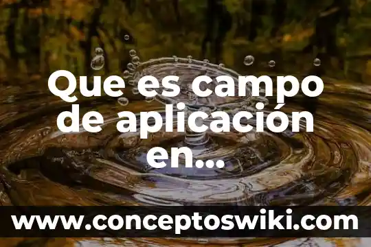 Qué es instrumentos modernos concepto 5 Que es campo de aplicación en instrumentos