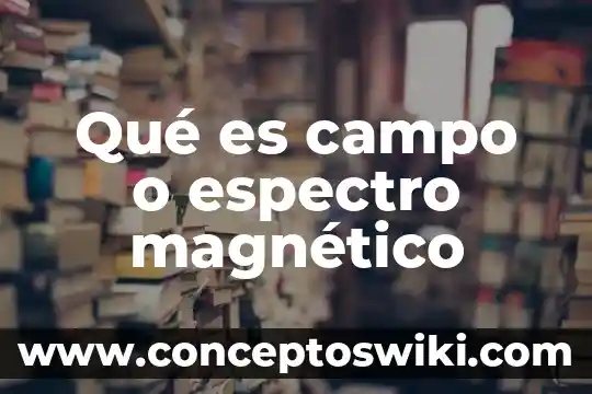 Que es el campo magnetico de la tierra significado 8 Qué es campo o espectro magnético