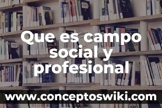 Que es un profesional de la educacion 6 Que es campo social y profesional