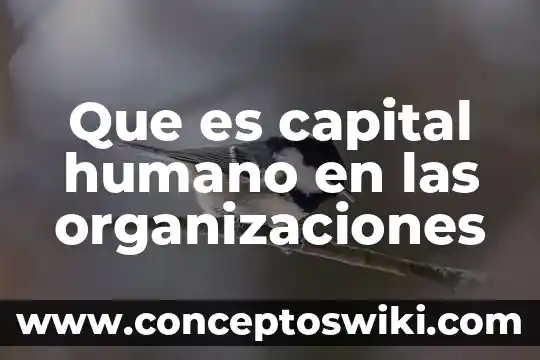 Que es organizaciones publicas de arte 5 Que es capital humano en las organizaciones