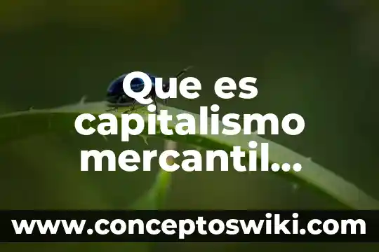 ¿Qué es el bloque capitalismo Estados Unidos? 7 Que es capitalismo mercantil ejemplos