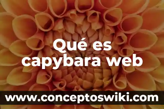 Qué es la firma digital en código de comercio 3 Qué es capybara web