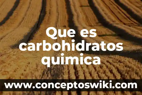 Por que es importante la molecula de carbohidratos 5 Que es carbohidratos quimica