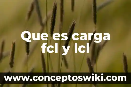 Que es la carga y descarga de buques 5 Que es carga fcl y lcl