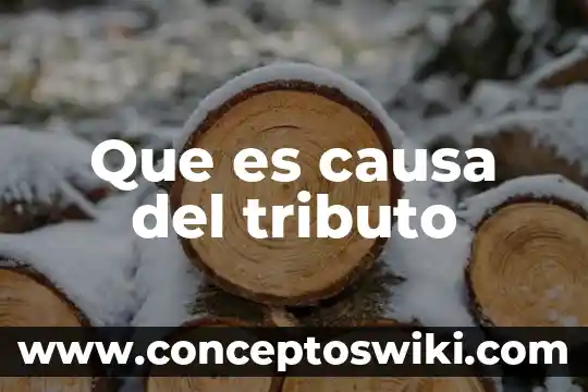 Que es la conferencia en publicidad 6 Que es causa del tributo