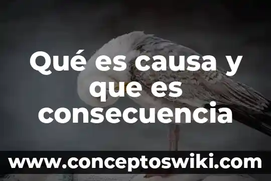 Qué es cultura y qué consecuencia tiene crisis de 1929 8 Qué es causa y que es consecuencia