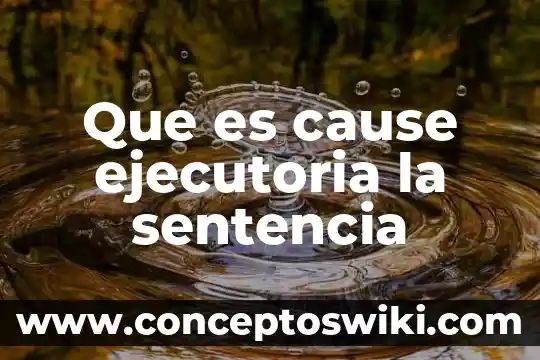 Que es una rectificadora de superficies planas horizontales 7 Que es cause ejecutoria la sentencia