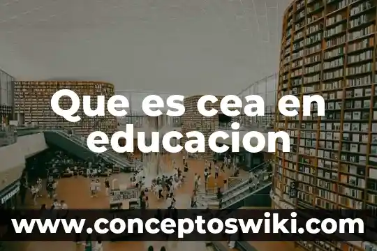 Que es ambigua en la educacion 4 Que es cea en educacion