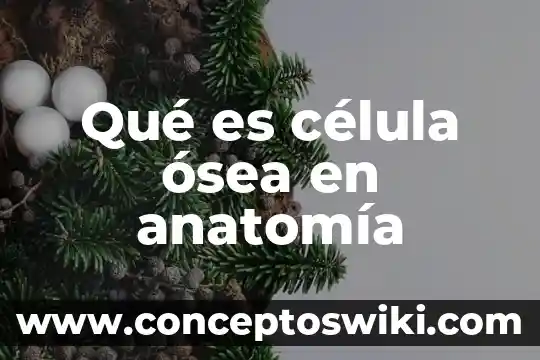 Que es la membrana celular dela celula animal 6 Qué es célula ósea en anatomía