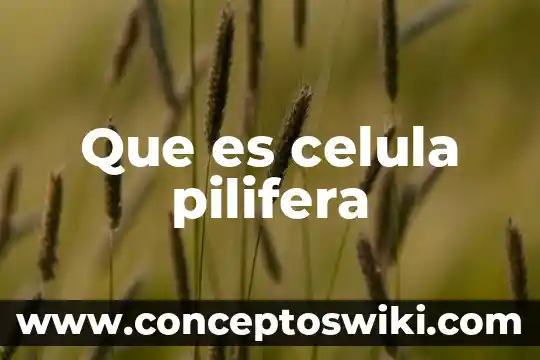 ¿Que es dna en una celula? 5 Que es celula pilifera