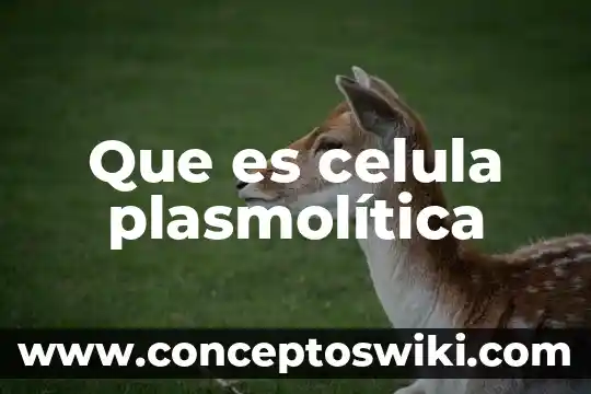 Célula animal y qué es en inglés 8 Que es celula plasmolítica