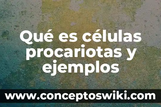 Qué es una célula y tipos de células qué existen 7 Qué es células procariotas y ejemplos