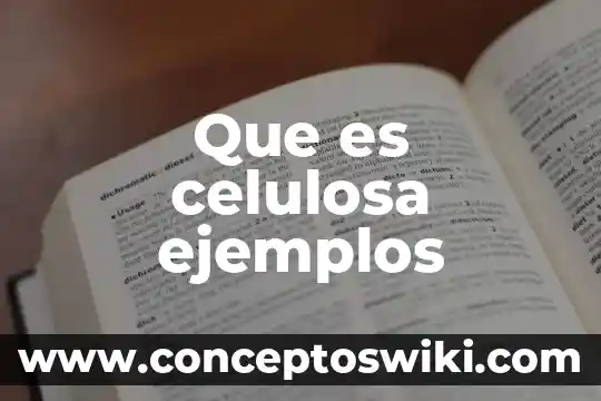 Que es celulosa es organica 3 Que es celulosa ejemplos