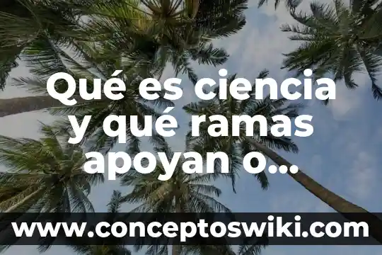 Qué es la ciencia política 4 Qué es ciencia y qué ramas apoyan o ayudan