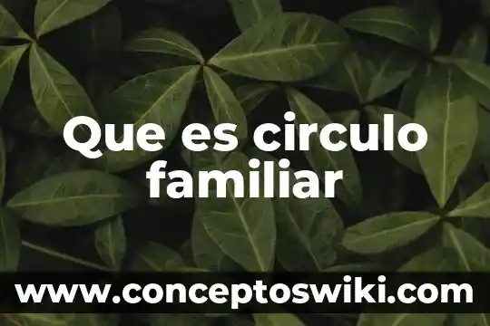 Que es junta familiar 7 Que es circulo familiar