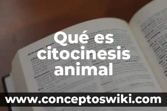 Que es un solitario animal 6 Qué es citocinesis animal