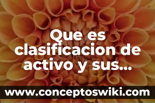 Que es el activo de una empresa y su clasificaci贸n 6 Que es clasificacion de activo y sus cuentas