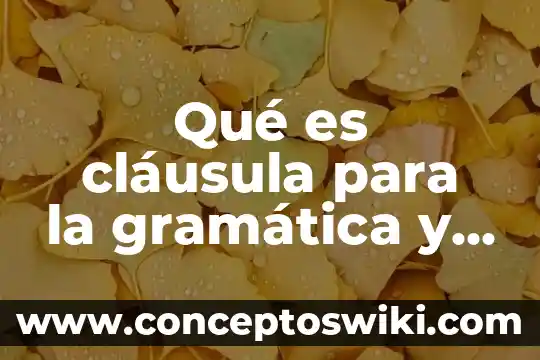 Qué es el lenguaje de descripción o definición 7 Qué es cláusula para la gramática y el lenguaje