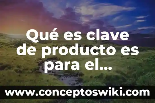 Que es consistencia de un producto 7 Qué es clave de producto es para el bordado