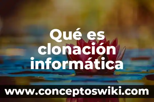 Qué es una clonación animal 7 Qué es clonación informática