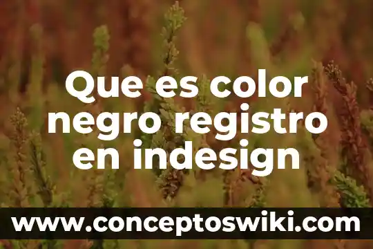 Qué es el registro temporal 4 Que es color negro registro en indesign