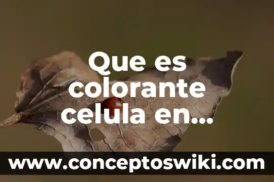 Que es lo mas importante de la celula animal 8 Que es colorante celula en quimica