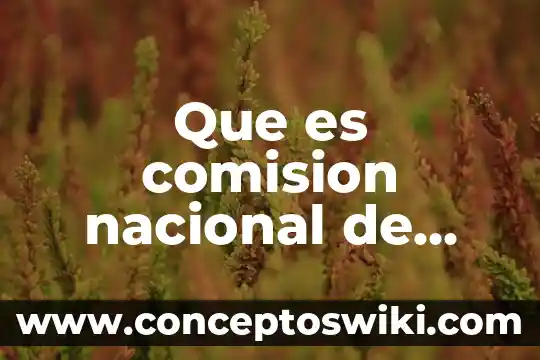 Que es el escudo nacional 6 Que es comision nacional de radio auxilio emergencia merida