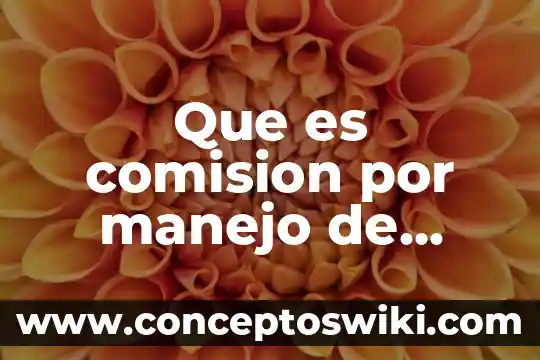 Que es la comision de principios de contabilidad imcp 3 Que es comision por manejo de cuenta en hsbc