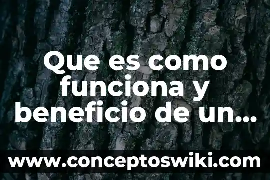 Proyectos ti que es 3 Que es como funciona y beneficio de un horno solar
