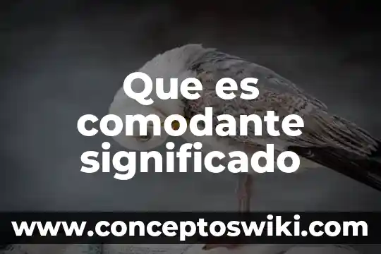 Qué es el voleibol y el significado de los números 3 Que es comodante significado