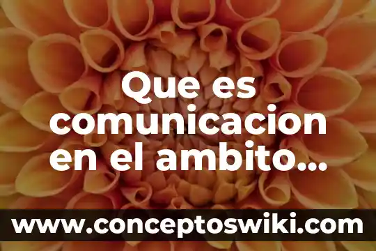 Que es kinetica en comunicacion no verbal 3 Que es comunicacion en el ambito laboral