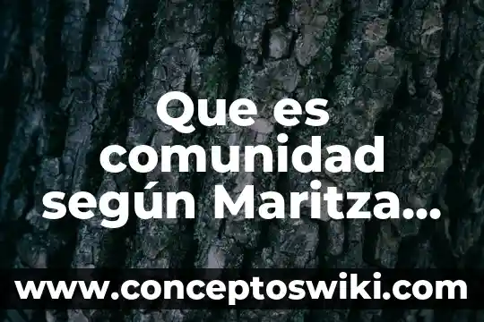 Qué es el amor introducción desarrollo y conclusión 8 Que es comunidad según Maritza Montero