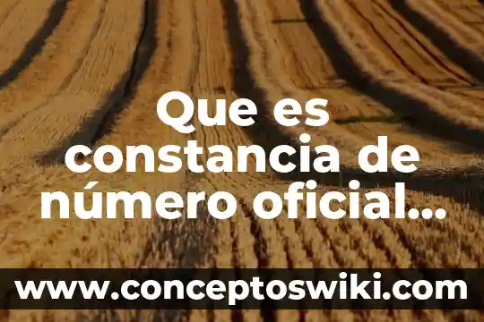 Que es el nombre oficial de mexico 4 Que es constancia de número oficial vigente