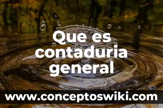 Qué es el examen general dermato 6 Que es contaduria general