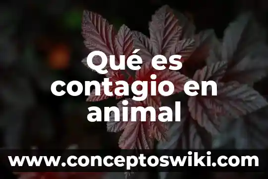 Que es un bonobo animal 8 Qué es contagio en animal
