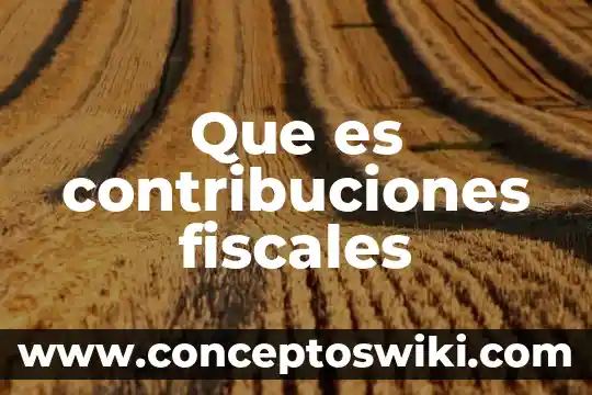 Que es una verificacion de comprobantes fiscales apocrifo 3 Que es contribuciones fiscales