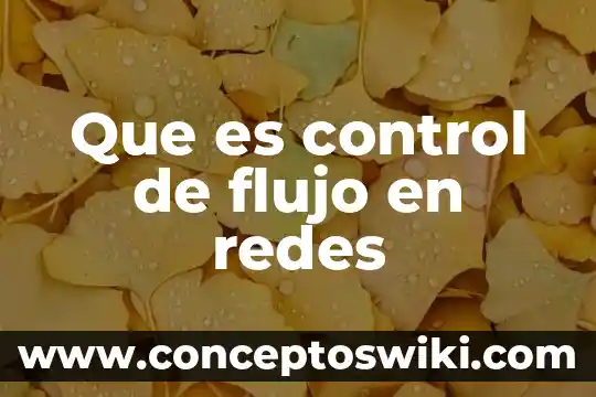 Qué es el flujo de efectivo en economía 3 Que es control de flujo en redes