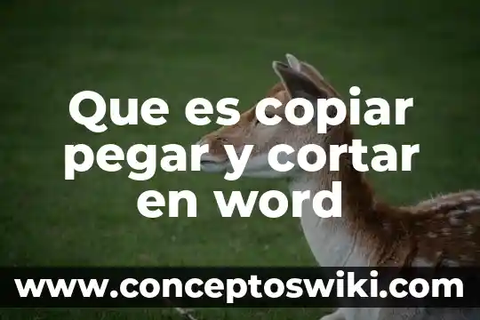 Que es copiar pegar y cortar con icono en word 7 Que es copiar pegar y cortar en word
