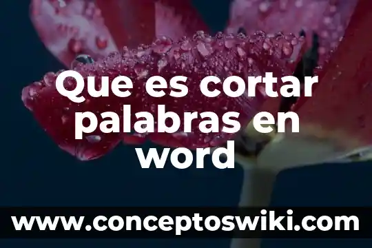 Que es copiar pegar y cortar con icono en word 5 Que es cortar palabras en word