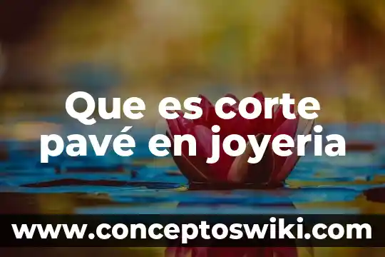 Qué es plotter de corte ventajas y desventajas 4 Que es corte pavé en joyeria