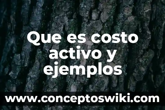 Que es el costo por visualizacion 3 Que es costo activo y ejemplos