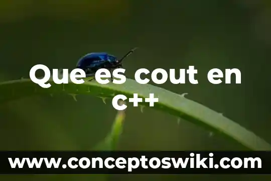 Que es reformar en c 3 Que es cout en c++