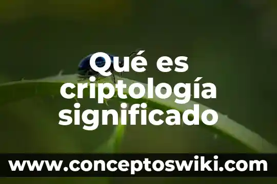 Qué es cachirulo significado 3 Qué es criptología significado