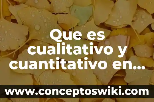 Que es cualitativo y cuantitativo en marketing 8 Que es cualitativo y cuantitativo en contabilidad