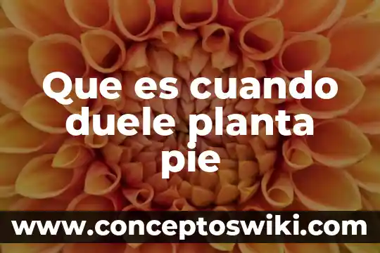 Qué es un toporingo planta o animal 4 Que es cuando duele planta pie