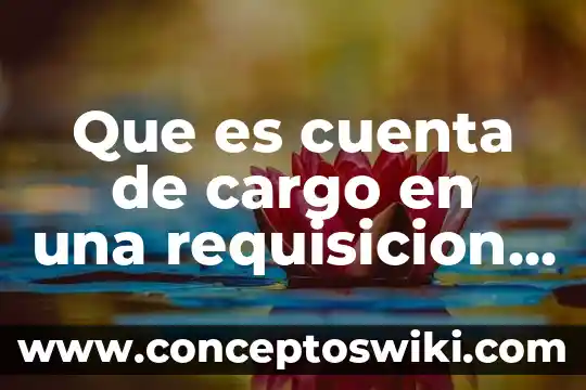 Que es un en cargado de almacen general definicion 8 Que es cuenta de cargo en una requisicion al almacen