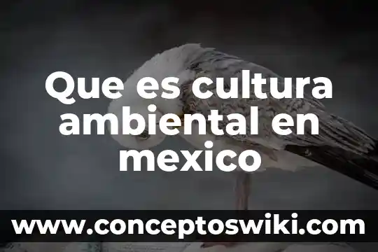 ¿Qué es tecnología ambiental? 7 Que es cultura ambiental en mexico
