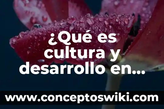 Símbolo de cultura que es 4 ¿Qué es cultura y desarrollo en comercio internacional?