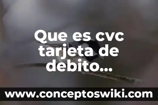 Qué es nota de crédito y débito en contabilidad 3 Que es cvc tarjeta de debito banamex