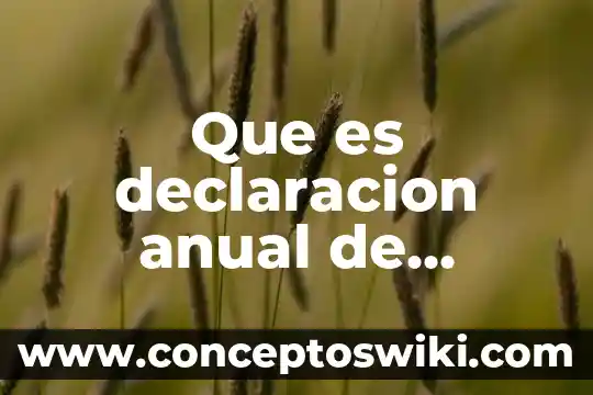 Que es existencia de las personas morales jurídicas 4 Que es declaracion anual de personas morales